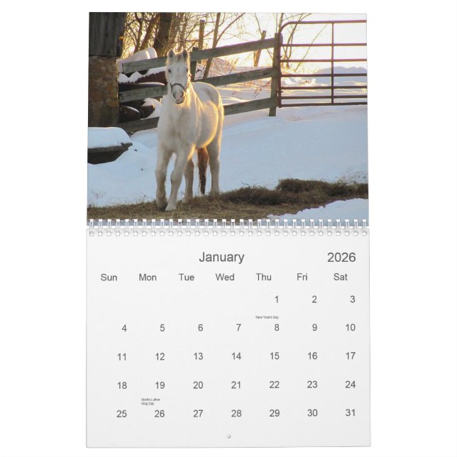 2012 Horse Calendar (Jan 2026)