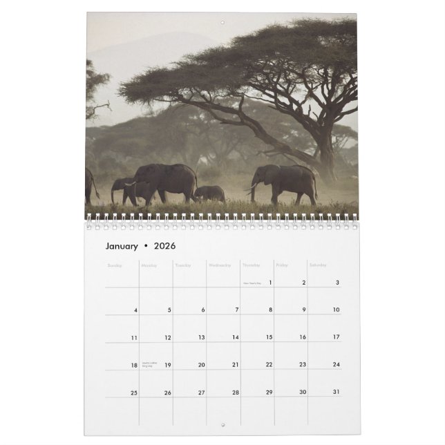 2012 Nature Calendar (Jan 2026)