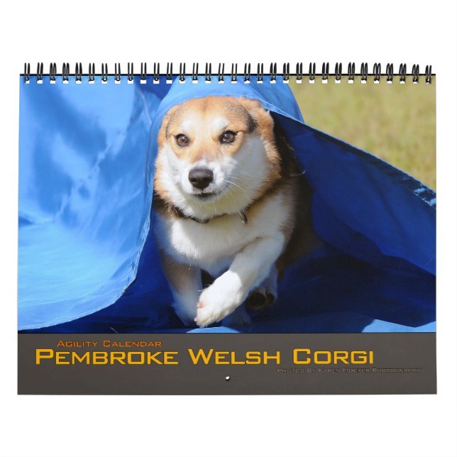 2012 Pembroke Welsh Corgi Agility Calendar (Cover)