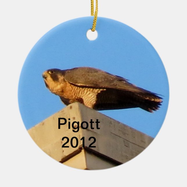 2012 Pigott Ornament (Front)