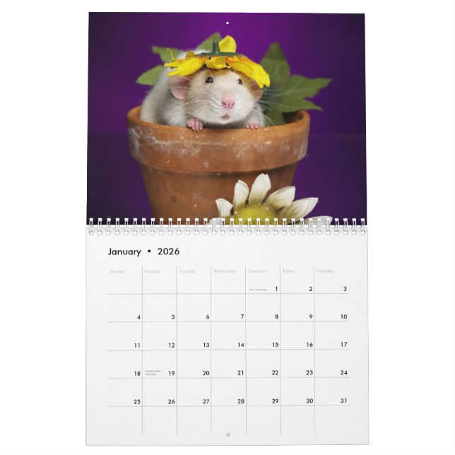 2012 rat calendar (Jan 2026)