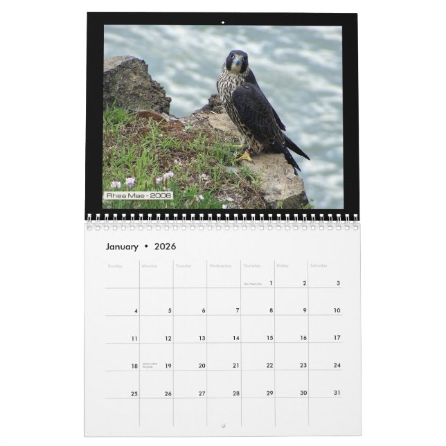 2012 Rochester Falcons in Toronto Calendar (Jan 2026)