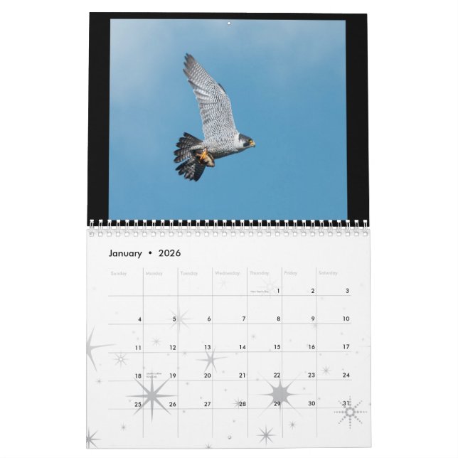 2012 Rochester Peregrine Falcon Calendar (Jan 2026)