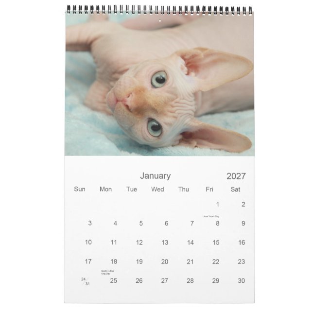 2012 Sphynx Calendar (Jan 2027)