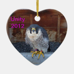 2012 Unity Ornament