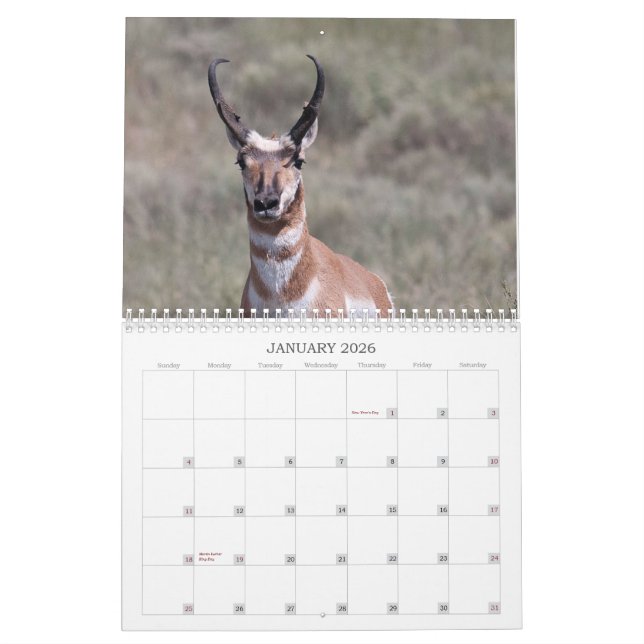 2012 Wells Ranch Calendar (Jan 2026)