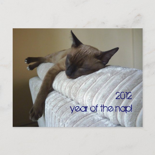 2012 year of the nap holiday postcard (Front)