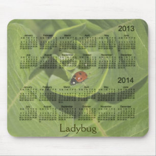 2013-2014 Ladybug Calendar Mousepad