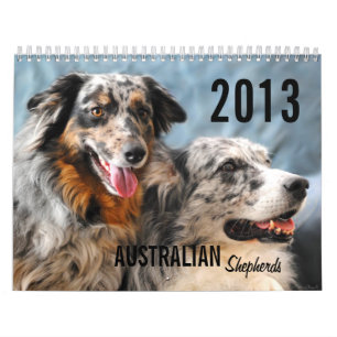 2013 Australian Shepherd Dog Calendar