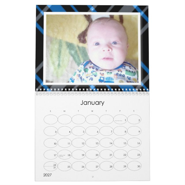2013 Babies Calendar (Jan 2027)