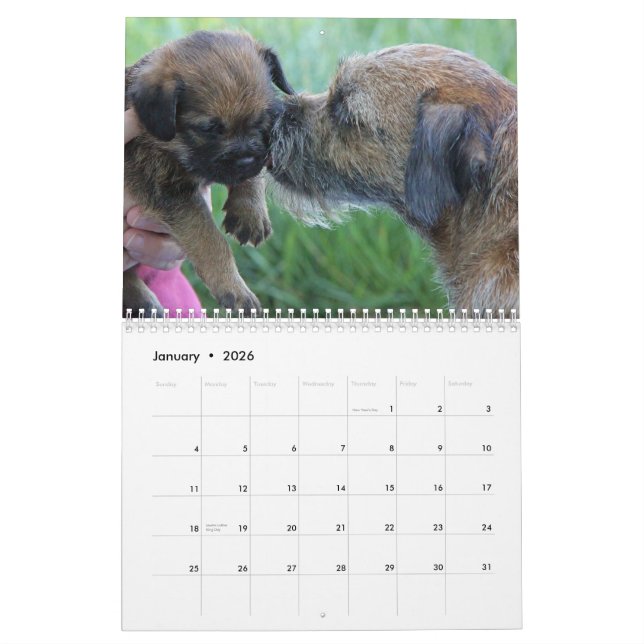 2013 Border Terrier Calendar (Jan 2026)