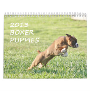 2013 Boxer Puppy Calendar