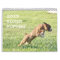 2013 Boxer Puppy Calendar