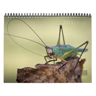 2013 BUGS "SPECIAL" CALENDAR BY MAYES | PHOTOS