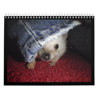 2013 Calendar 2