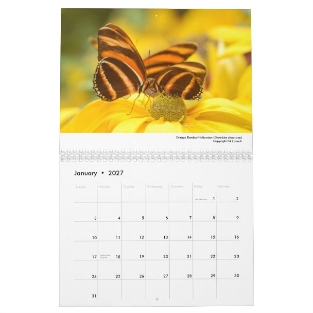 2013 Calendar - Butterflies and Moths (Jan 2027)