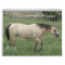 2013 Calendar Countryside Horses