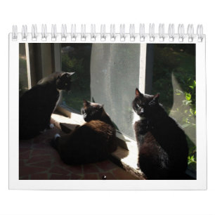 2013 Calendar - Five Fine Felines