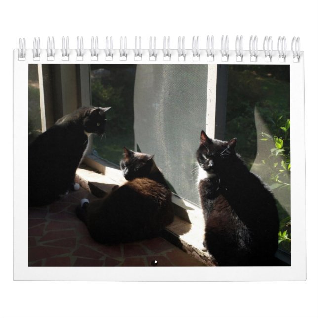 2013 Calendar - Five Fine Felines (Cover)