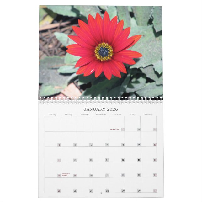 2013 Calendar  - Nature (Jan 2026)