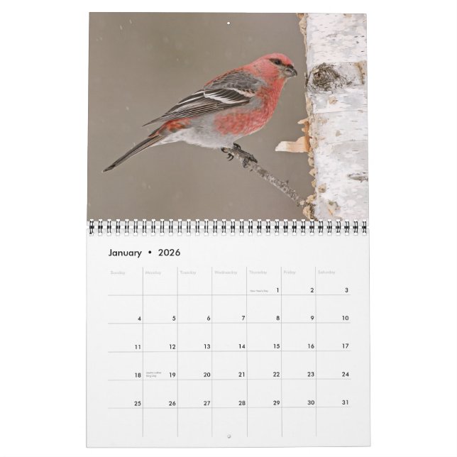 2013 Calendar of Birds (Jan 2026)