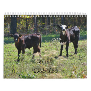 2013 Calves Calendar