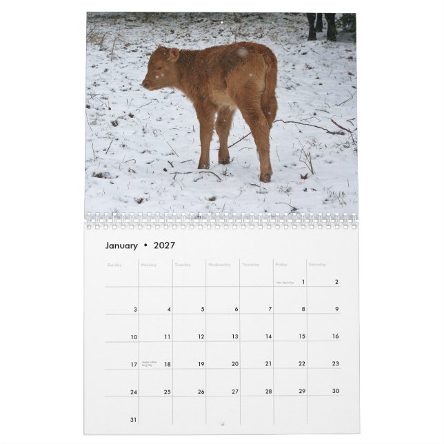 2013 Calves Calendar (Jan 2027)