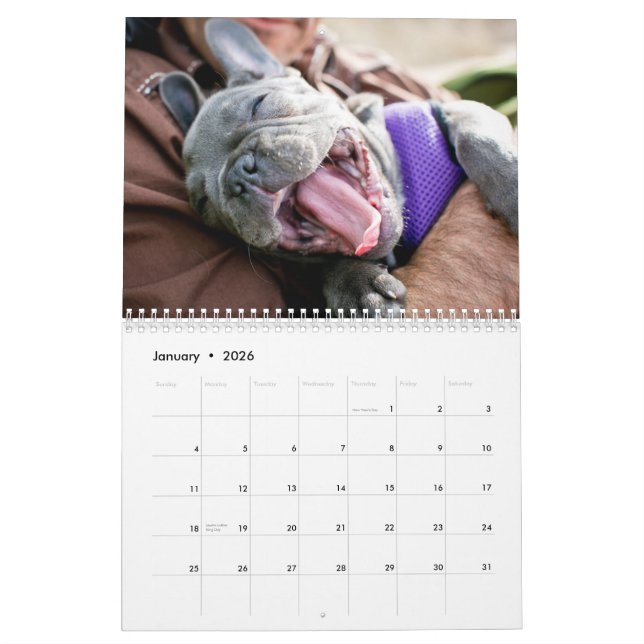 2013 Chicken Calendar (Jan 2026)