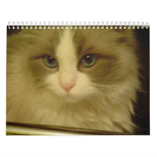 2013 Countdown Calendar