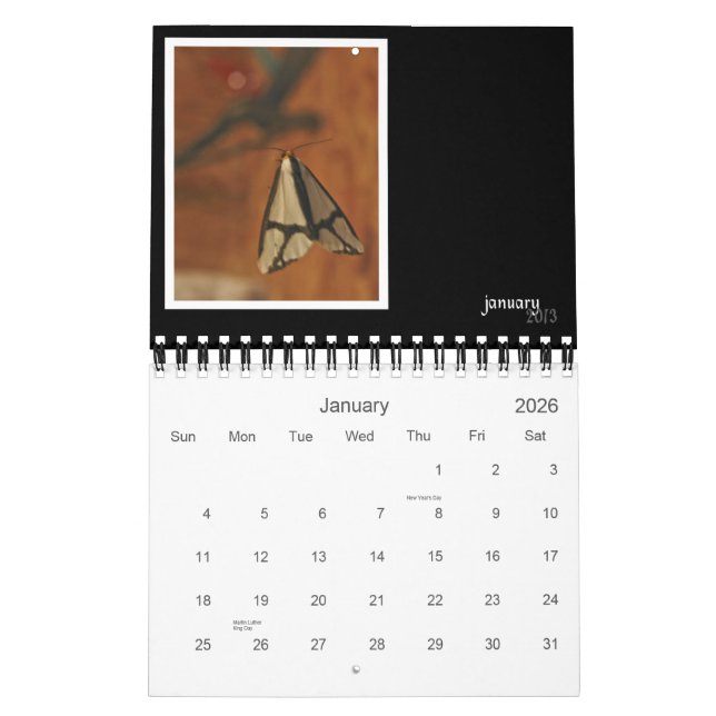 2013 Critters & Bugs Wall Calendar (Jan 2026)