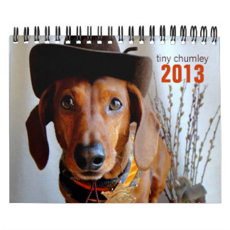 2013 Dachshund Calendar - tiny chumley
