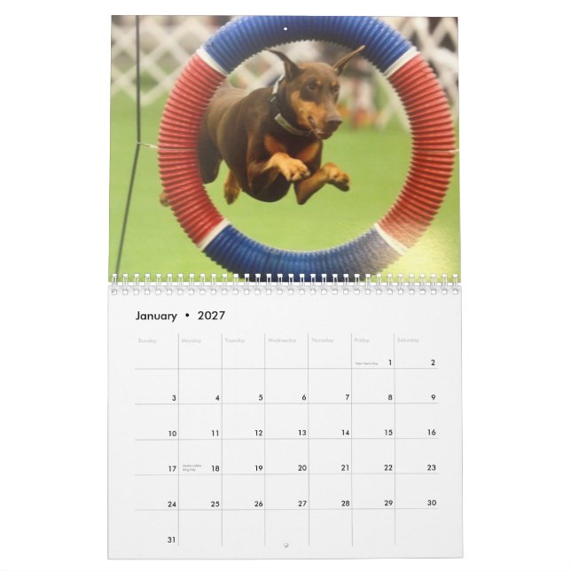2013 Doberman Calendar-revised Feb Calendar (Jan 2027)