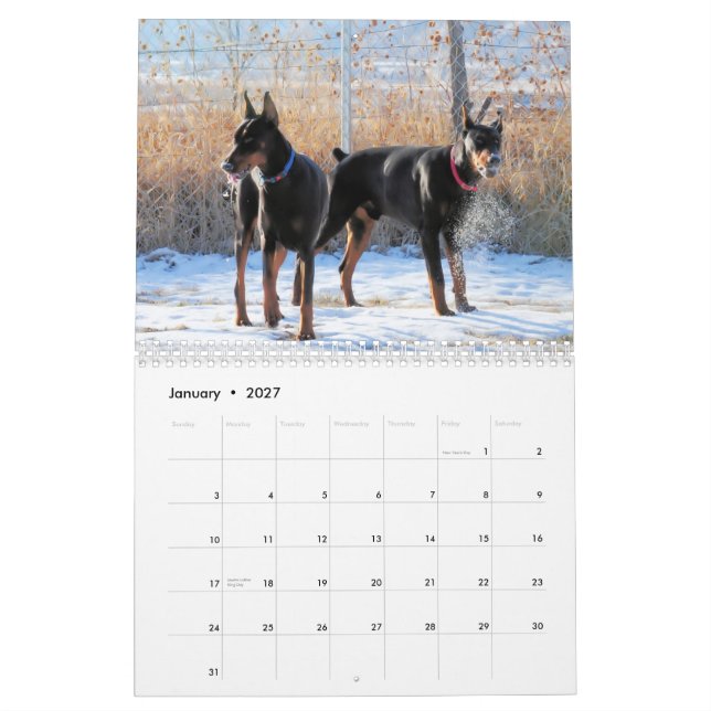2013 Doberman Puppy Calendar (Jan 2027)