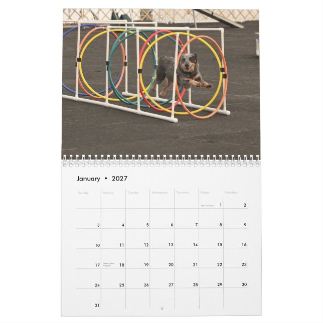 2013 Dogs on the Run Calendar (Jan 2027)