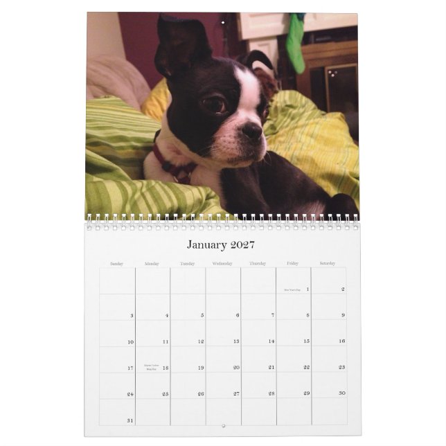 2013 Family Dogs Calendar (Jan 2027)