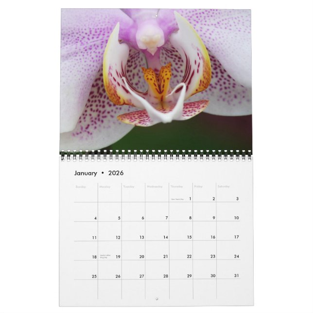 2013 FLORA CALENDAR BY MAYES | PHOTOS (Jan 2026)