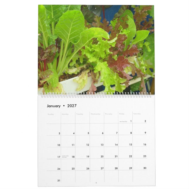 2013 Garden Pool Calendar -  Large (Jan 2027)