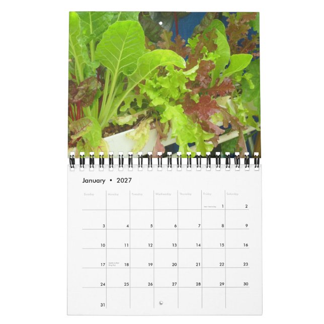 2013 Garden Pool Calendar - Small (Jan 2027)