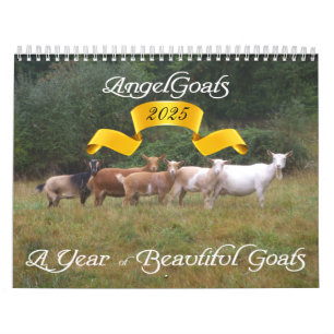 2013 Goat Calendar Beautiful Goats  AngelGoats