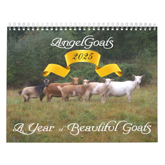2013 Goat Calendar Beautiful Goats  AngelGoats (Cover)