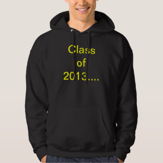 2013 HOODIE