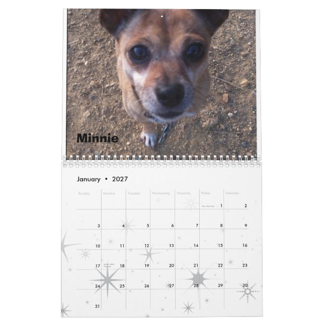 2013 Lexi & Friends Dog Calendar (Jan 2027)