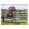 2013 Mountain Horse Calendar