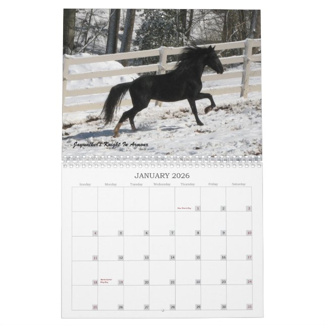 2013 Mountain Horse Calendar (Jan 2026)