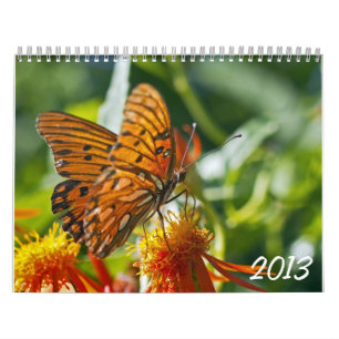 2013 Photography Calendar