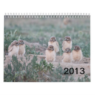 2013 Wells Ranch Calendar