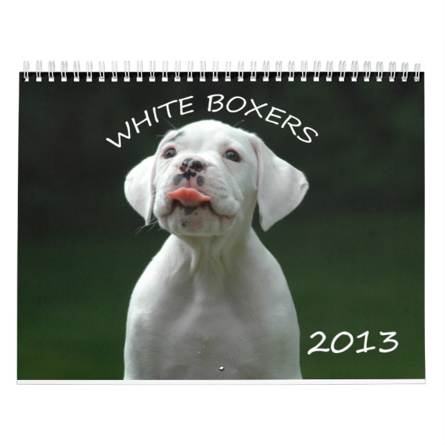 2013 White Boxer Calendar (Cover)