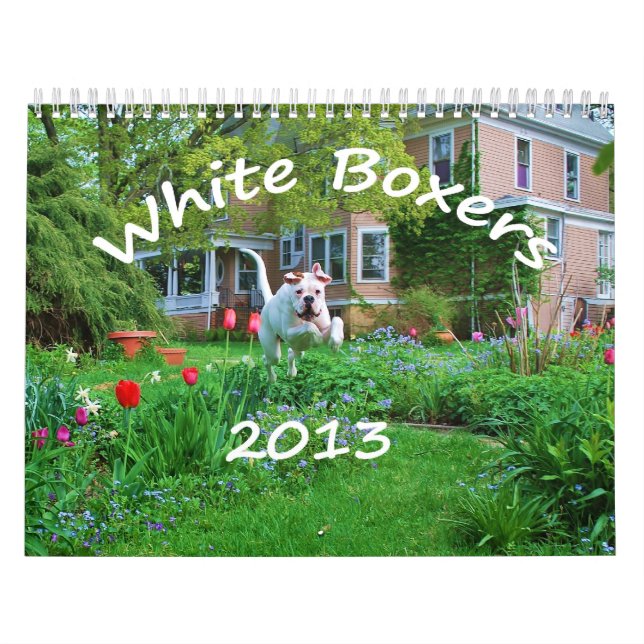 2013 White Boxer Calendar (Cover)