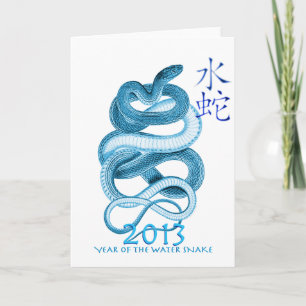 2013 Year of the Snake Holiday Card