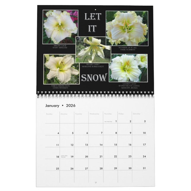 2014 AHS Daylily Calendar (Jan 2026)